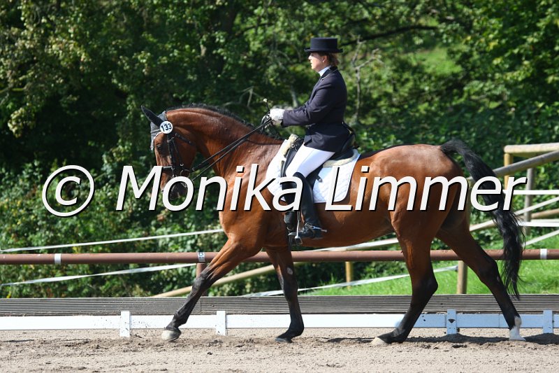 009M0203_Wax Lounge_Dressur L.JPG